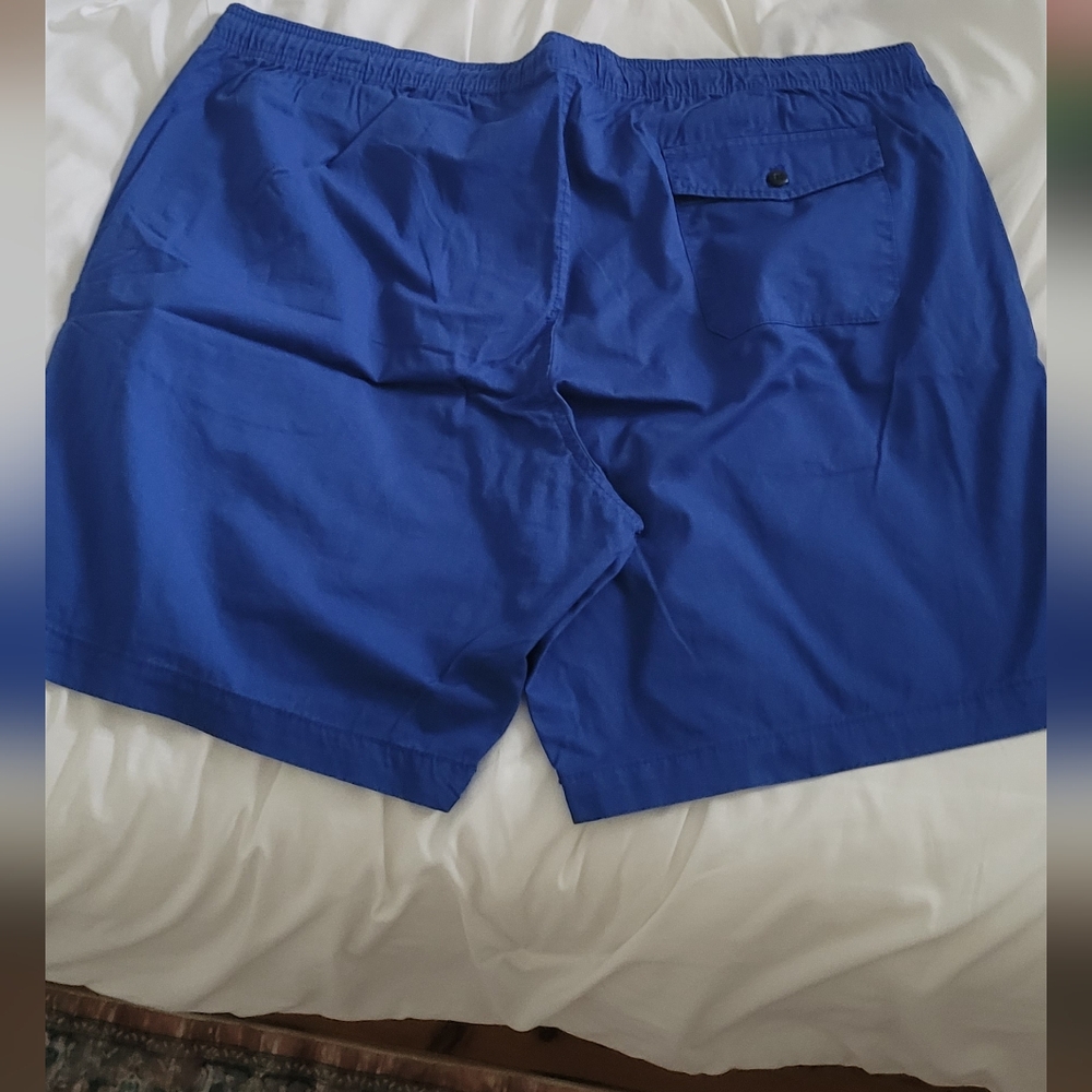 GAP Royal Blue Casual Shorts - Picture 3 of 3